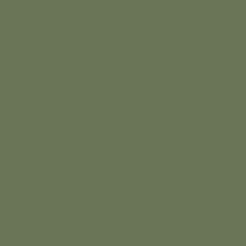 Плитка керамогранит Rainbow RW06 Зеленый мох матовый