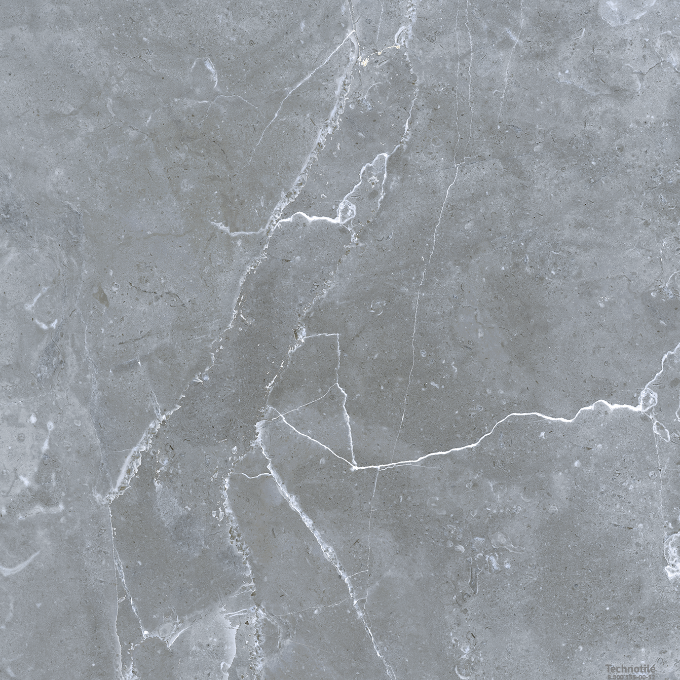 Плитка керамогранит Петра GRS02-16 Северное Серебро матовый