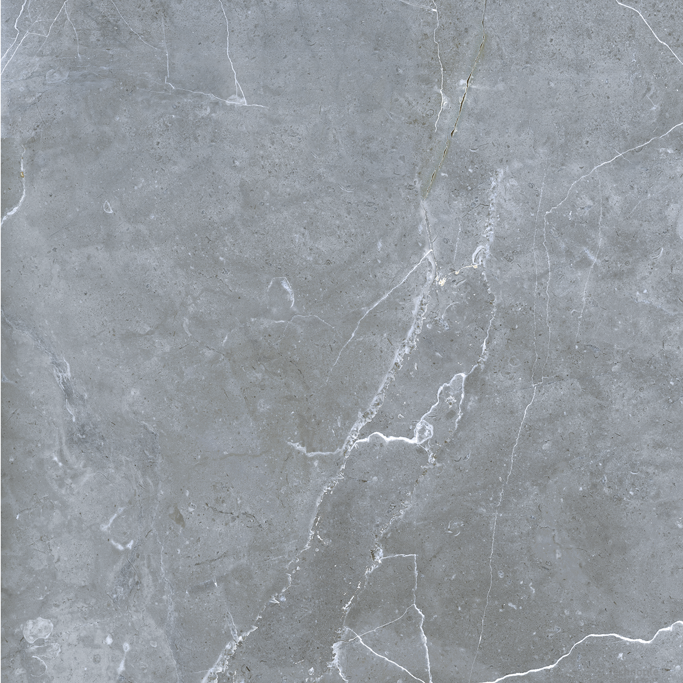 Плитка керамогранит Petra GRS02-16 Northen Silver матовый