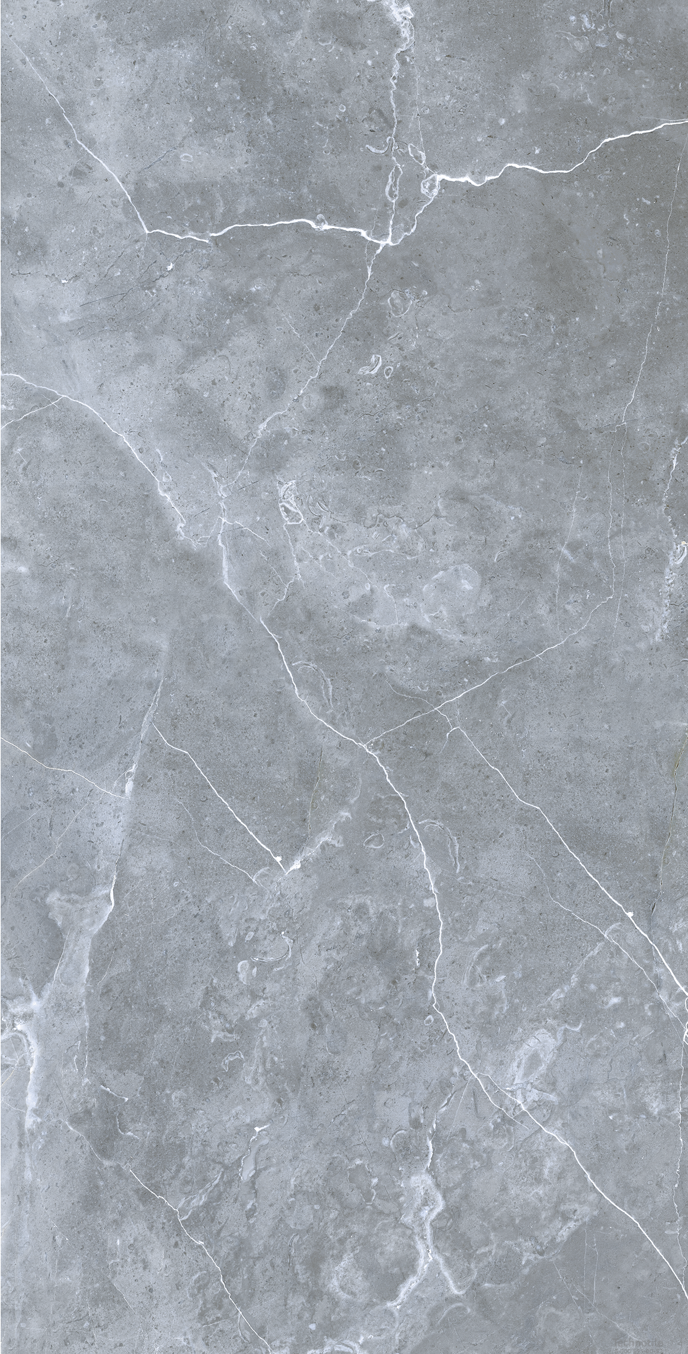Плитка керамогранит Petra GRS02-16 Northen Silver матовый