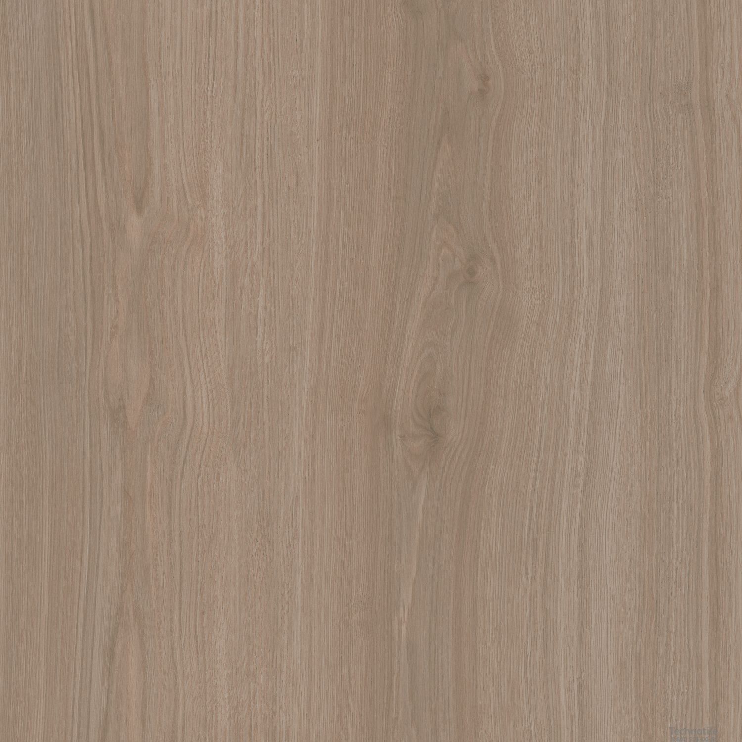 Плитка керамогранит Альберони SG643820R Светло-коричневый матовый