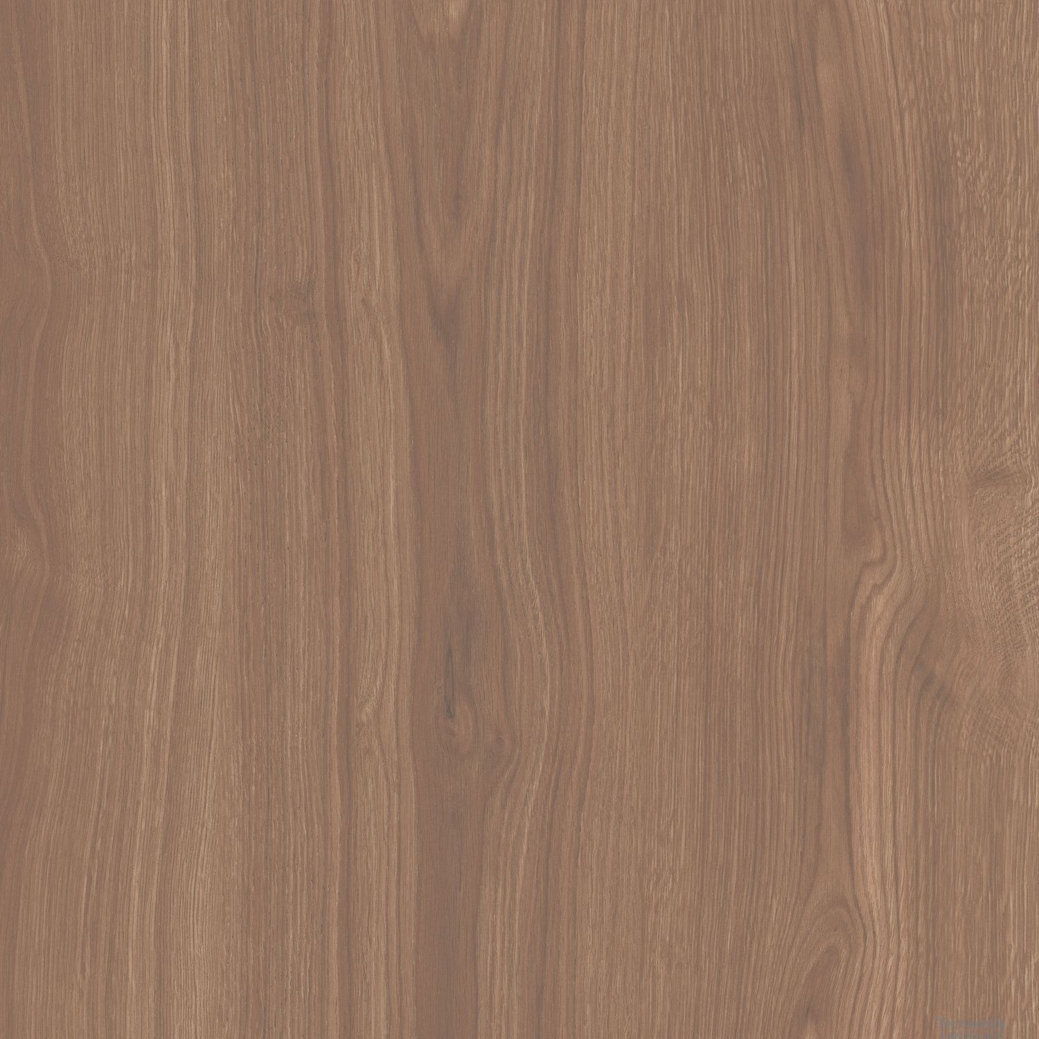 Плитка керамогранит Альберони SG644020R Коричневый матовый