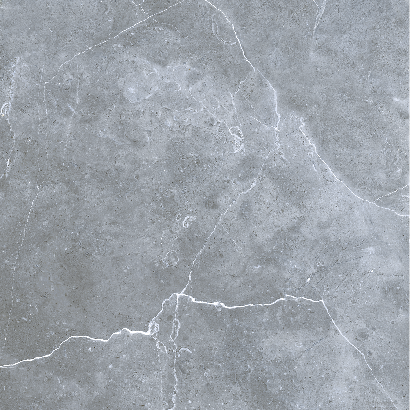 Плитка керамогранит Petra GRS02-16 Northen Silver матовый