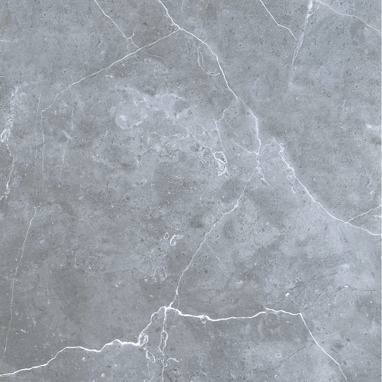Плитка керамогранит Petra GRS02-16 Northen Silver матовый
