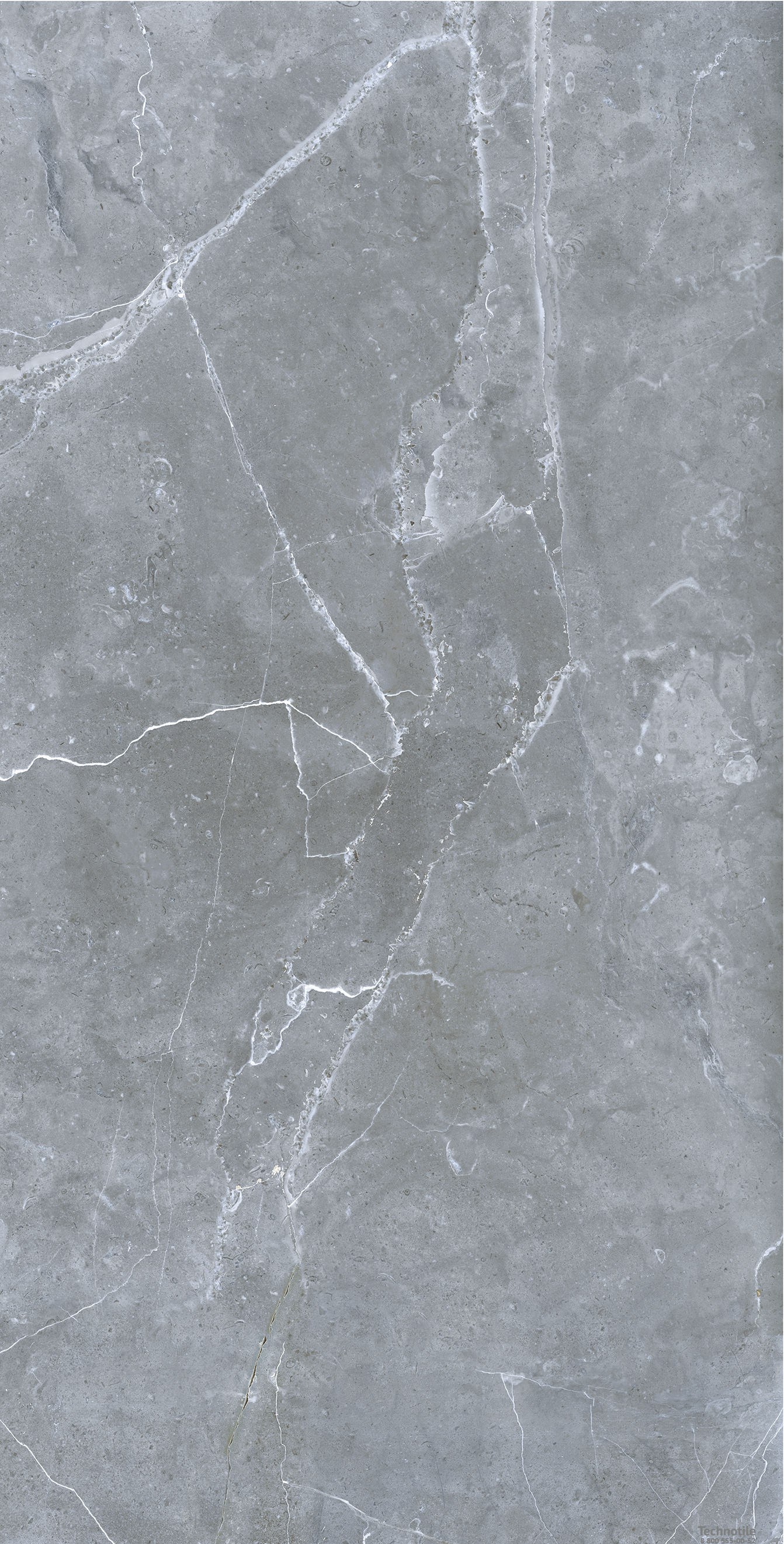 Плитка керамогранит Петра GRS02-16 Северное Серебро матовый