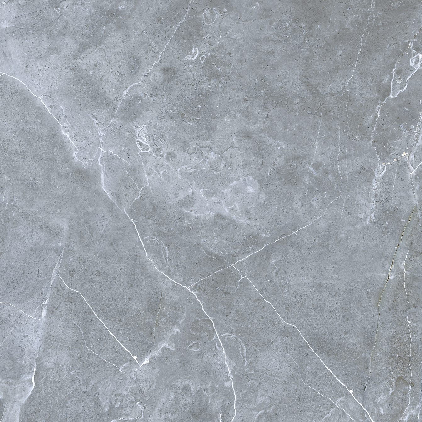Плитка керамогранит Petra GRS02-16 Northen Silver матовый