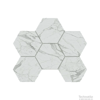 Мозаика Hexagon керамогранит Montis MN01  матовый