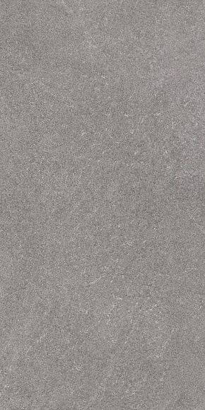 Плитка керамогранит Роверелла DL501220R Пепельный матовый