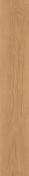 Плитка керамогранит Eligo Basswood матовый