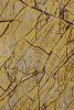 Плитка керамогранит Natural Stone JLTM69T117S Бежево-коричневый полированный