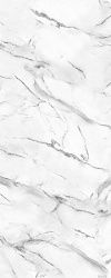 Интерьерная панель Calacatta NT-4.3.2 Shaded White глянцевый