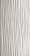 3D White