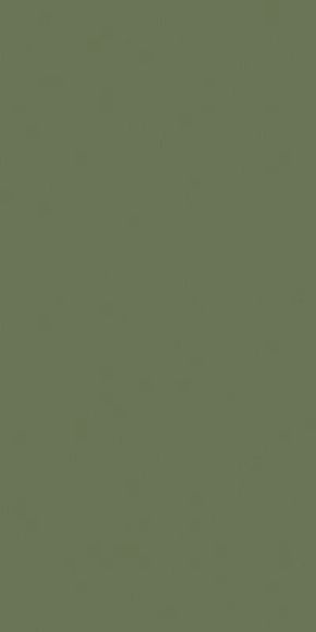 Плитка керамогранит Rainbow RW06 Зеленый мох матовый
